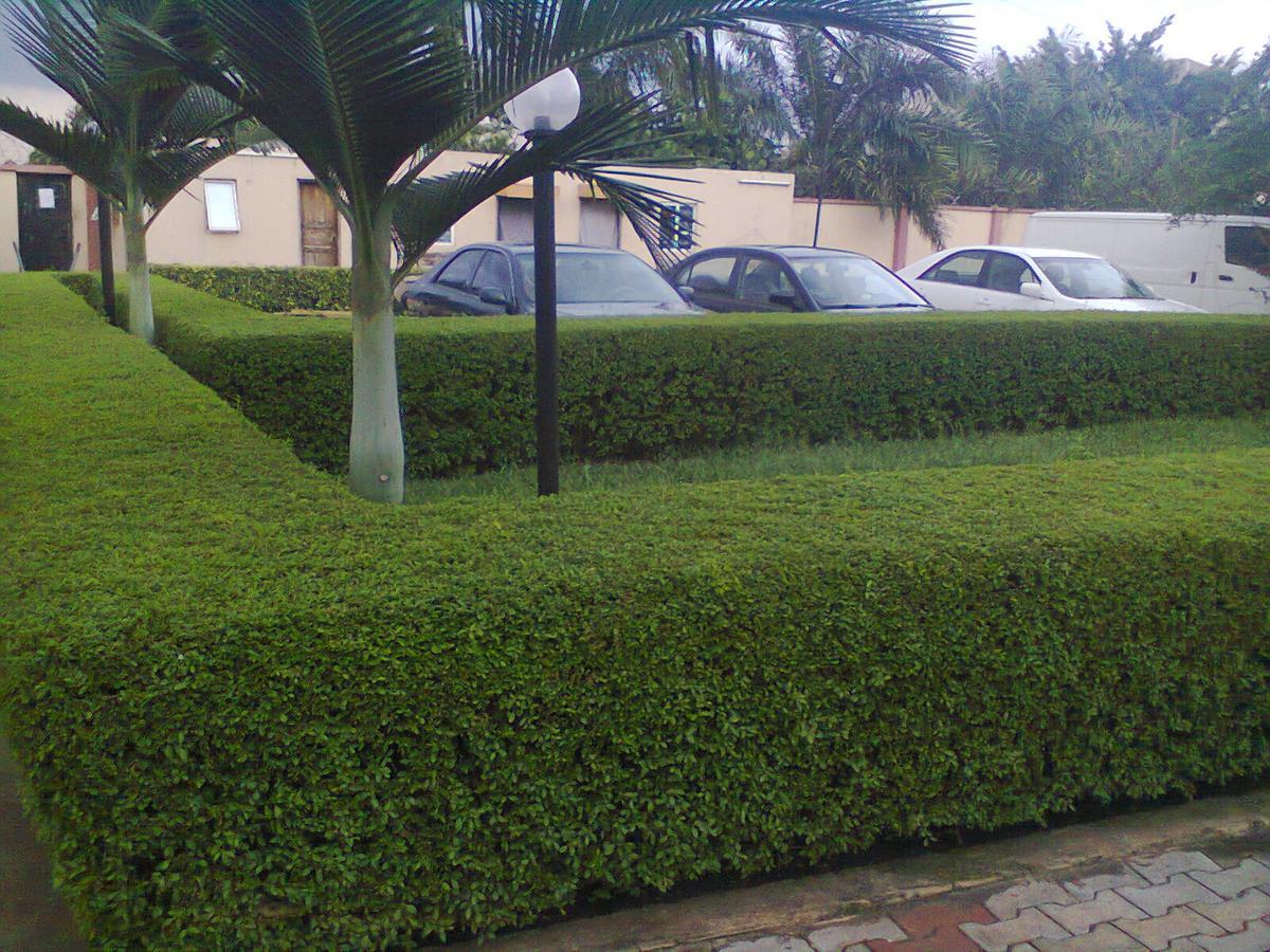 Orchid Hotel Asaba Extérieur photo